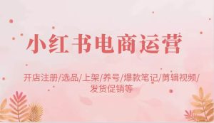 小红书电商运营:开店注册/选品/上架/养号/爆款笔记/剪辑视频/发货促销等-旺仔资源库