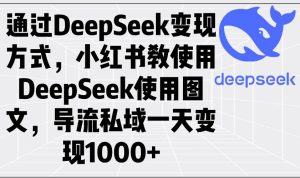 （14179期）通过DeepSeek变现方式，小红书教使用DeepSeek图文，导流私域一天变现1000+-旺仔资源库