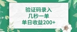 （14221期）验证码录入，几秒一单，单日收益200+-旺仔资源库