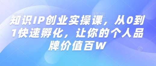 知识IP创业实操课，从0到1快速孵化，让你的个人品牌价值百W-旺仔资源库