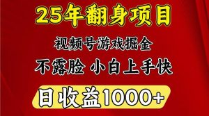 一天收益1000+ 25年开年落地好项目-旺仔资源库