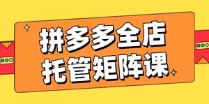 （14328期）拼多多全店托管矩阵课，盈利动销玩法，高效计划设置，提升店铺效益-旺仔资源库