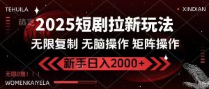 （14429期）2025短剧拉新玩法，无需注册登录，无限0撸，无脑批量操作日入2000+-旺仔资源库