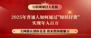 镰刀训练营超级IP合伙人，25年普通人如何通过“知识付费”年入百万！-旺仔资源库
