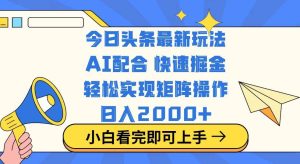 （14463期）今日头条最新玩法，思路简单，复制粘贴，轻松实现矩阵日入2000+-旺仔资源库