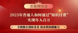 （14466期）【网创项目终点站-镰刀训练营超级IP合伙人】25年普通人如何通过“知识…-旺仔资源库