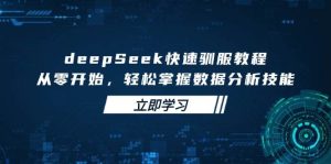 （14536期）deepSeek快速驯服教程，从零开始，轻松掌握数据分析技能-旺仔资源库