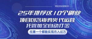 25年推荐这10个副业 项目包含褂鸡类、代运营托管类、全自动打金类-旺仔资源库