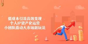 低成本引流高效变现，个人IP资产化运营，小团队撬动大市场新玩法-旺仔资源库