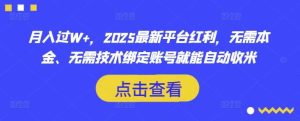 月入过W+，2025最新平台红利，无需本金、无需技术绑定账号就能自动收米-旺仔资源库
