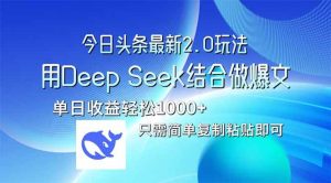 （14117期）今日头条最新2.0版本，用Deep Seek结合今日头条做爆文，单日收益轻松10…-旺仔资源库