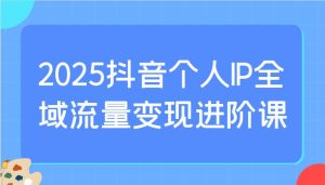 2025抖音个人IP全域流量变现进阶课：选爆品、抖音付费投流、千川投流实操及优化等-旺仔资源库