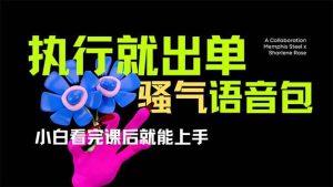 (14170期)爆火全网的开车导航骚气语音包,只要执行就出单,小白看完课程就能实操…-旺仔资源库