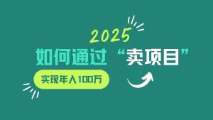 2025年如何通过“卖项目”实现年入100w-旺仔资源库