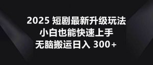 2025短剧最新升级玩法，小白也能快速上手，无脑搬运日入300+-旺仔资源库