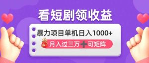 （14198期）看剧即赚无脑躺赚，单机日入1000+，月入3万+，可批量可矩阵，最猛收益…-旺仔资源库