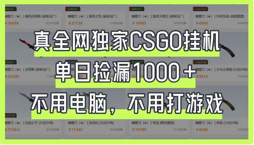 真全网独家CSGO挂机，单日捡漏1000+，不用电脑，不用养号-旺仔资源库