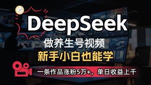 DeepSeek+既梦Ai生成养生视频，5分钟一条，条条爆款，轻松日入300+-旺仔资源库