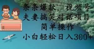 条条爆款,视频号夫妻搞笑对话项目,简单操作,小白轻松日入3张-旺仔资源库