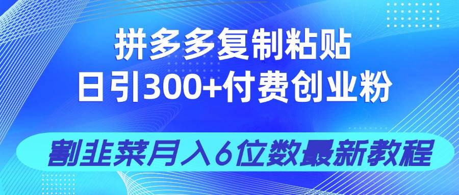 （14232期）拼多多复制粘贴日引300+付费创业粉，割韭菜月入6位数最新教程！-旺仔资源库