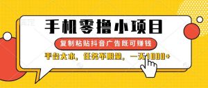 (14254期)手机零撸小项目,复制粘贴抖音广告即可赚钱,平台大水,任务不限量,一…-旺仔资源库