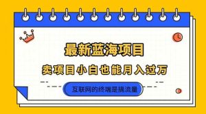 （14289期）2025年最新蓝海项目，卖项目小白也能月入过万-旺仔资源库