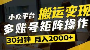 （14288期）得物平台变现新蓝海！无脑复制热门视频，多账号同步运营，每天半小时躺…-旺仔资源库