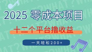 （14302期）2025年零成本项目，十二个平台撸收益，单号一天轻松200+-旺仔资源库