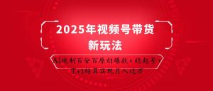 2025年视频号带货新玩法：AI炮制百分百原创爆款，稳起号，T+1结算实现月入过万-旺仔资源库