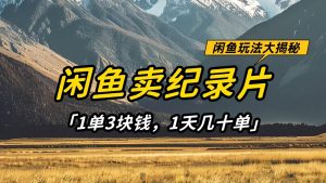 闲鱼卖纪录片，简单又赚钱的小项目，1单3块钱  1天几十单-旺仔资源库