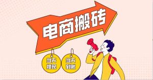 电商搬砖项目，单机日收益300+，非常暴力，小白上手就会-旺仔资源库