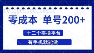 （14322期）2025年零成本单号200+，十二个零撸平台撸收益，有手机就能做-旺仔资源库