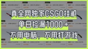 真全网独家CSGO挂G，单日捡漏1k+【揭秘】-旺仔资源库