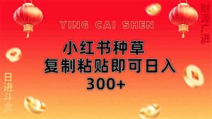 （14350期）小红书种草无脑操作复制粘贴即可日入300+-旺仔资源库