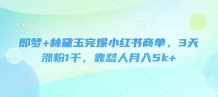 即梦+林黛玉完爆小红书商单，3天涨粉1千，靠怼人月入5k+-旺仔资源库