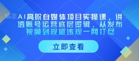 AI高阶自媒体项目实操课，讲透账号运营底层逻辑，从发布视频到规避违规一网打尽-旺仔资源库