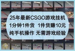（14439期）25年最新CSGO游戏挂机，1分钟1件货，1件货赚10元 纯手机操作 无需游戏经验-旺仔资源库