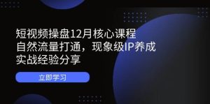 （14447期）短视频操盘12月核心课程：自然流量打通，现象级IP养成，实战经验分享-旺仔资源库
