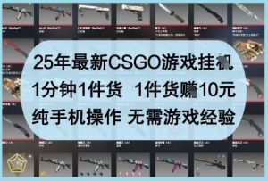 25年最新CSGO游戏挂G，1分钟1件货，1件货挣10元，纯手机操作，无需游戏经验【揭秘】-旺仔资源库