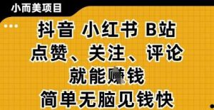 小而美的项目，抖音小红书B站视频点赞、关注、评论就能挣钱，简单无脑立见收益，妥妥的零撸项目【揭秘】-旺仔资源库