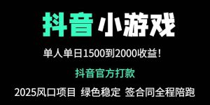 (14527期)抖音官方小游戏2025全网最新玩法,暴利赚钱项目,单机日入2000+,绝不…-旺仔资源库