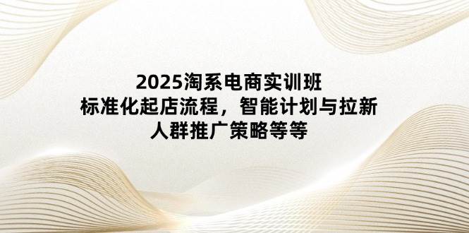 （14522期）2025淘系电商实训班：标准化起店流程，智能计划与拉新，人群推广策略等等-旺仔资源库