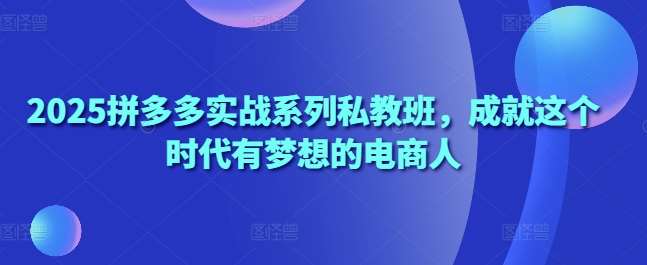 2025拼多多实战系列私教班，成就这个时代有梦想的电商人-旺仔资源库