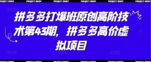拼多多打爆班原创高阶技术第43期,拼多多高价虚拟项目-旺仔资源库