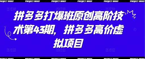 拼多多打爆班原创高阶技术第43期，拼多多高价虚拟项目-旺仔资源库