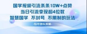 国学视频引流条条10W+点赞当日引流变现超4位数-旺仔资源库