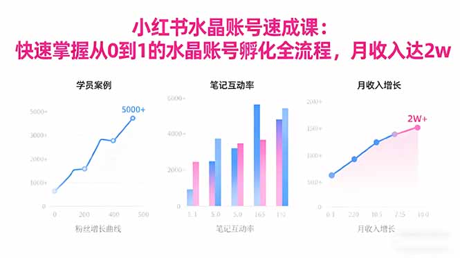 2025小红书水晶账号速成课：快速掌握从0-1水晶账号孵化全流程，月收入达2w-旺仔资源库