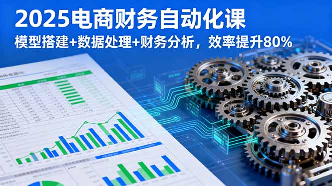 2025电商财务自动化课，模型搭建+数据处理+财务分析，效率提升80%-旺仔资源库