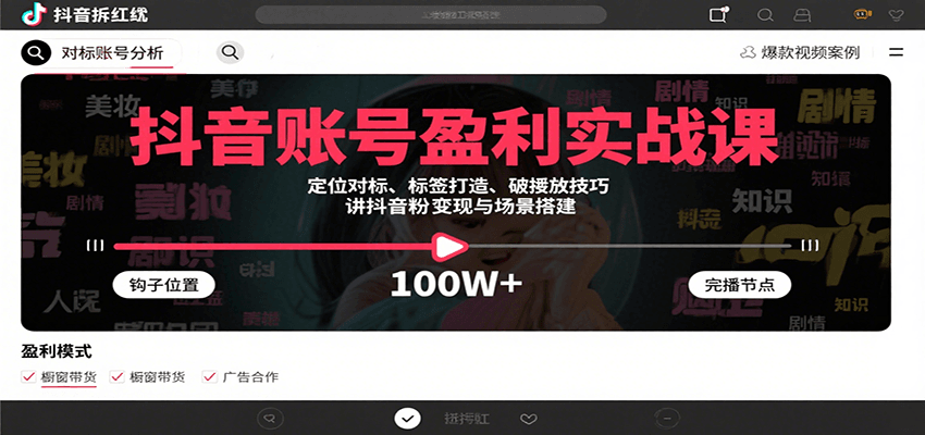 抖音账号盈利实战课，定位对标、标签打造、破播放技巧，讲涨粉变现与场景搭建-旺仔资源库
