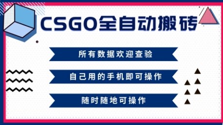 CSGO全自动搬砖，年底钱回家好项目，当天可拿到结果，新手小白轻松月入1W+【揭秘】-旺仔资源库